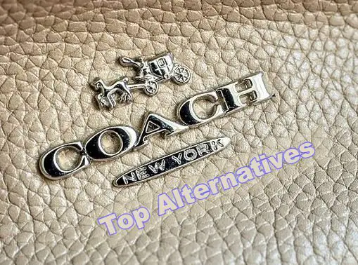 Brands Like Coach