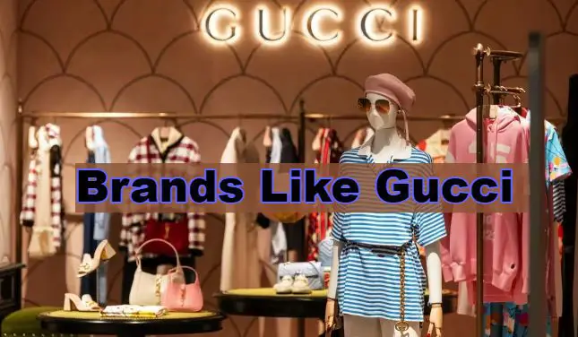 Brands Like Gucci
