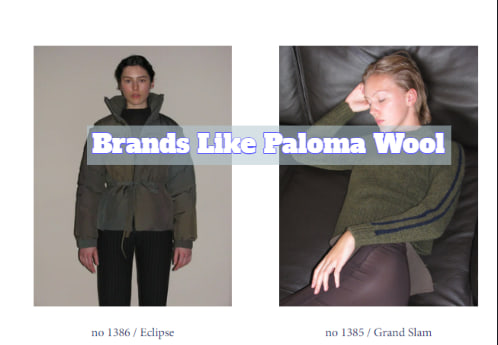 Brands Like Paloma Wool