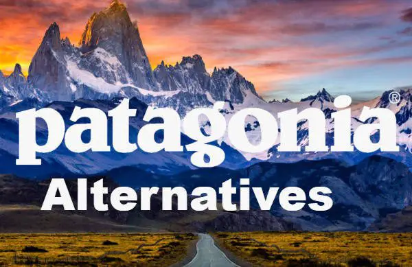 Brands Like Patagonia