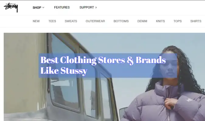 Brands Like Stussy