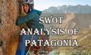 SWOT Analysis of Patagonia