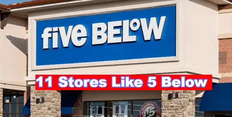 Stores Like 5 Below