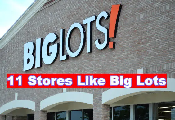 Stores Like Big Lots