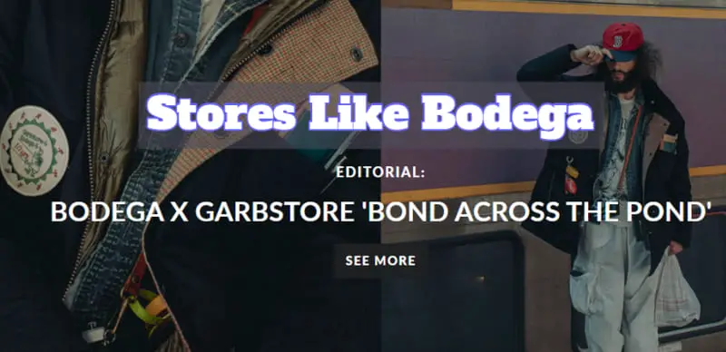 Stores Like Bodega