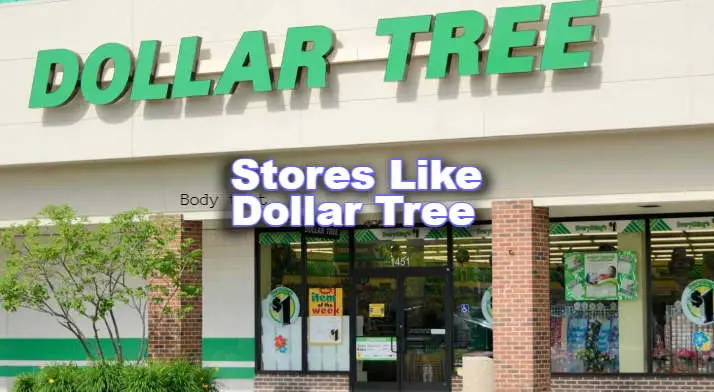 Stores Like Dollar Tree