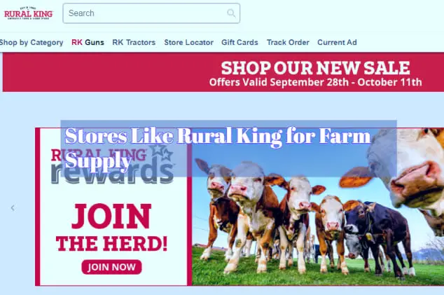 Stores Like Rural King