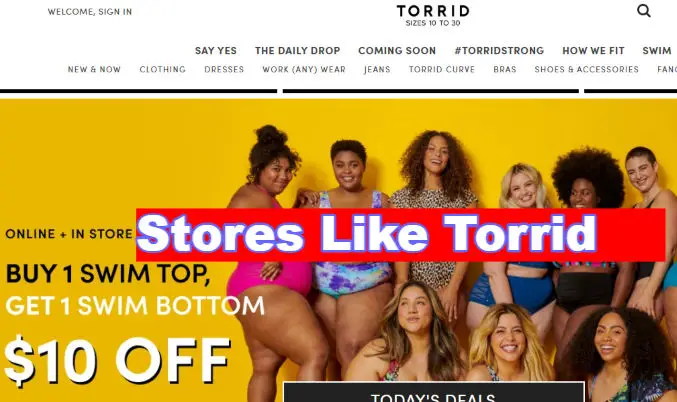 Stores Like Torrid