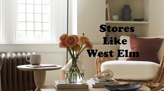 Stores Like West Elm