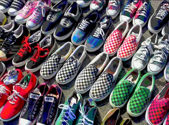 Vans Shoes types