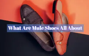 What Are Mule Shoes All About